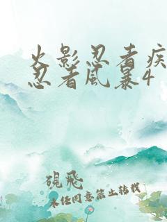 火影忍者疾风传忍者风暴4