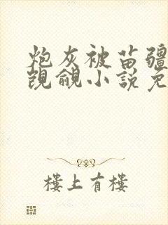 炮灰被苗疆少年觊觎小说免费阅读