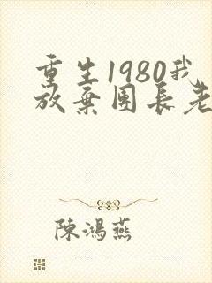 重生1980我放弃团长老婆小说