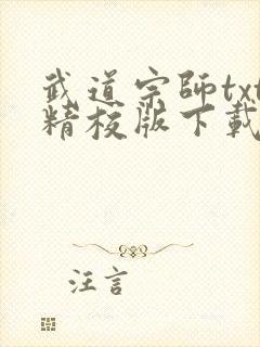 武道宗师txt精校版下载