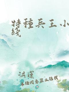 特种兵王小说在线