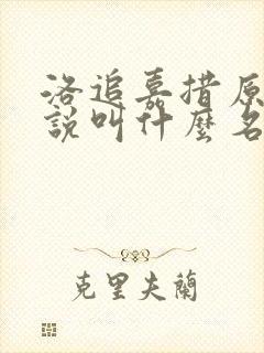 洛追嘉措原著小说叫什么名字