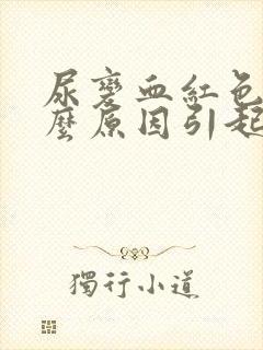 尿变血红色是什么原因引起的