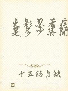 火影忍者疾风传是多少集开始