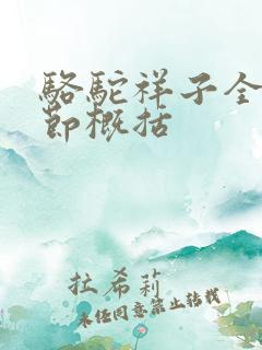 骆驼祥子全书章节概括