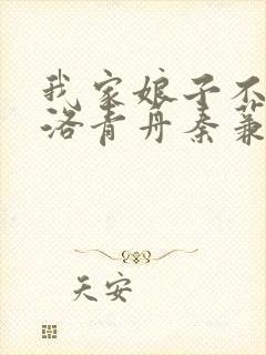 我家娘子不对劲洛青舟秦蒹葭