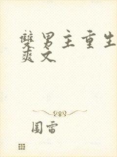 双男主重生复仇爽文