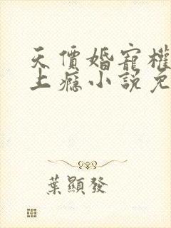 天价婚宠权少赖上瘾小说免费阅读