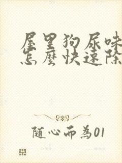 屋里狗尿味太重怎么快速除去