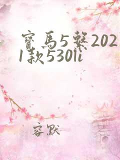 宝马5系2021款530li