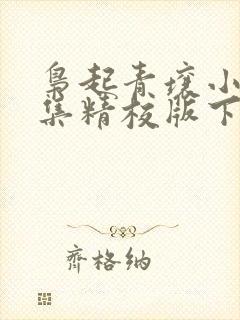 枭起青壤小说全集精校版下载