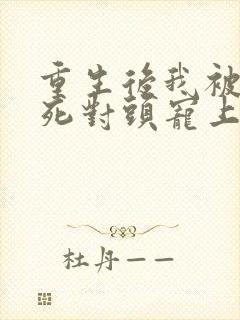 重生后我被渣男死对头宠上天短剧免费观看