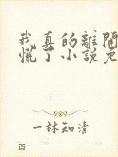 我真的离开后她慌了小说免费阅读