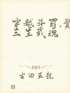 穿越斗罗,觉醒三生武魂