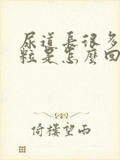 尿道长很多小颗粒是怎么回事