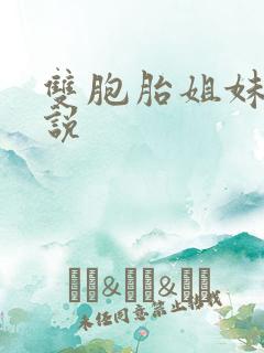 双胞胎姐妹 小说