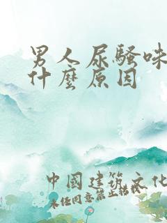 男人尿骚味大是什么原因