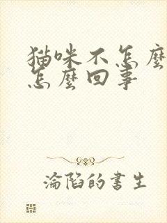 猫咪不怎么拉尿怎么回事