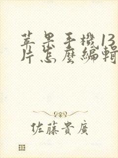 苹果手机13照片怎么编辑文字上去