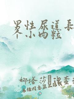 男性尿道长了一个小肉粒