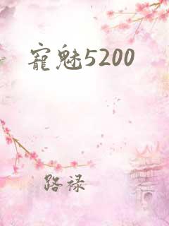 宠魅5200