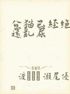 公猫已经绝育了还乱尿