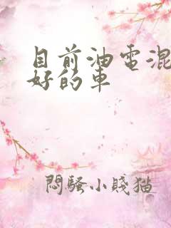 目前油电混动最好的车