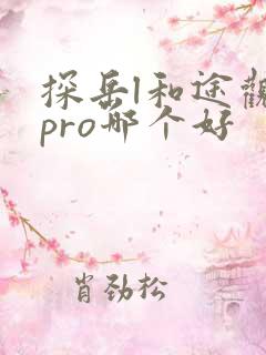 探岳l和途观lpro哪个好