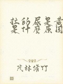 拉的尿是黄色的是什么原因