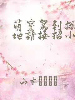 萌宝驾到总裁爹地请接招小说