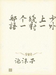 哪个线上少儿英语一对一外教好