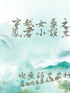 穿越女尊之吾为凤君小说免费阅读