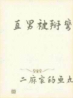直男被掰弯的文