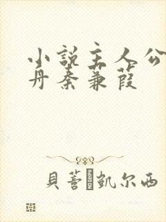 小说主人公洛青舟秦蒹葭