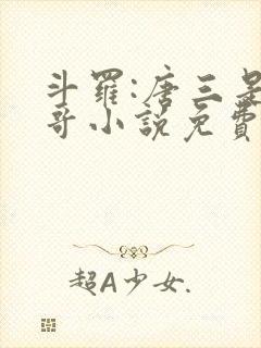 斗罗:唐三是我哥小说免费阅读