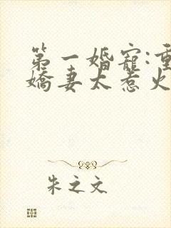 第一婚宠:重生娇妻太惹火 清歌一片