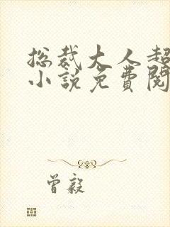 总裁大人超给力小说免费阅读全文