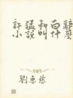 许猛和白辞原著小说叫什么名字