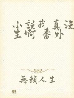 小说我真没想重生啊 番外