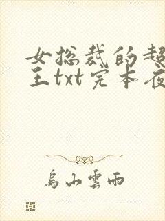 女总裁的超级兵王txt完本夜风武