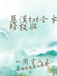 恶汉txt全本精校版