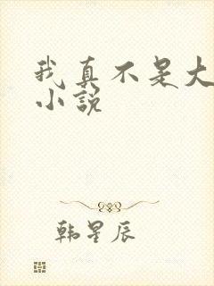 我真不是大佬的小说