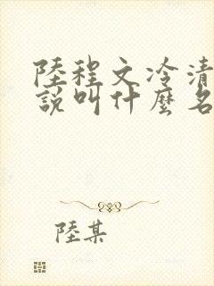 陆程文冷清秋小说叫什么名字