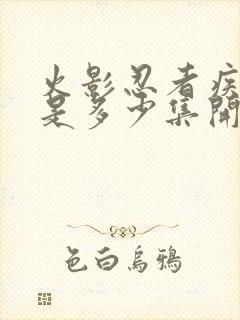 火影忍者疾风传是多少集开始