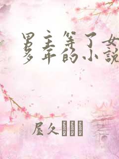 男主等了女主很多年的小说