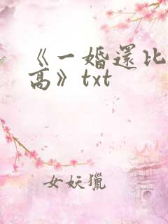 《一婚还比一婚高》txt