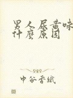 男人尿黄味重是什么原因