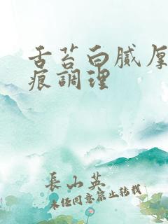 舌苔白腻厚有齿痕调理