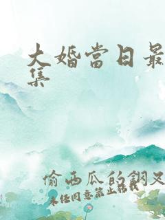 大婚当日最后一集