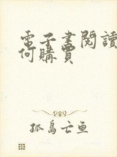 电子书阅读器如何购买